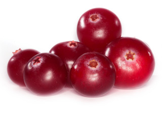 cranberry isolated