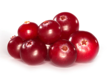 cranberry isolated