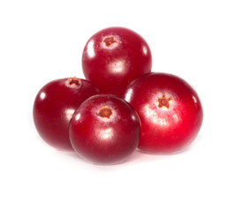 cranberry isolated