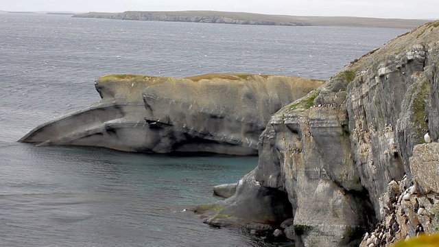 Cape whale of Novaya Zemlya archipelago and characteristic for  sea strong wind
