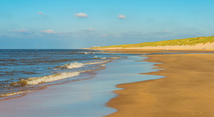 Dunes under a blue sky in autumn