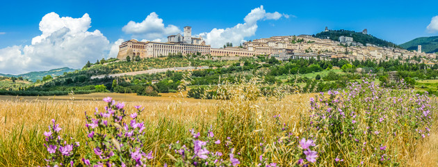 Historic town of Assisi, Umbria, Italy - obrazy, fototapety, plakaty