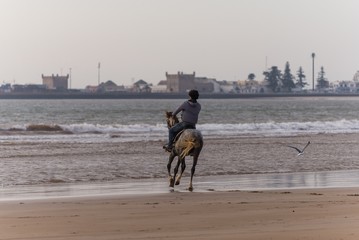 horse riding at the beach