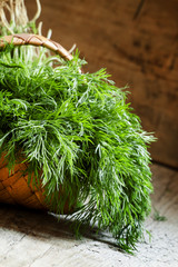 Fresh dill from the garden on the old wooden table in rustic sty