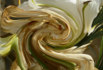 Fading White Lily spiral abstract