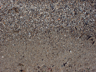 Sand and small stones with fragments of shells on the beach