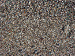 Wet sand and small stones with fragments of shells on the beach