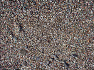 Wet sand and small stones with fragments of shells