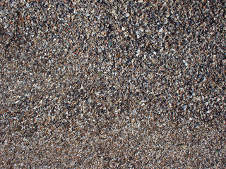 Top view of wet sand and small stones with fragments of shells