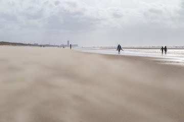 People walking along the beach against strong winds carrying sand at North Sea coast, Belgium