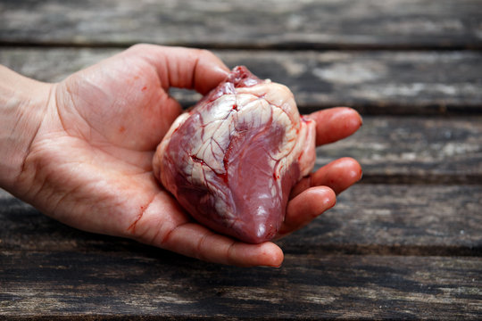 Man hand holds lamb heart