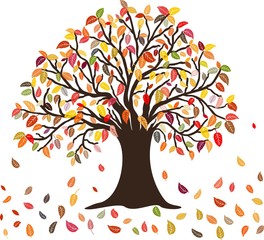 Naklejka na ściany i meble Autumn Tree with the colorful falling leaves, isolated on white