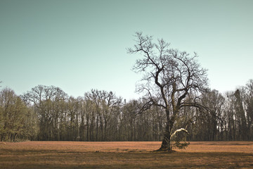 Fototapeta premium Park maksimir in zagreb croatia 