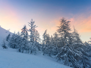 Beautiful winter landscape with snow covered trees