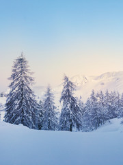Fototapeta na wymiar Winter forest in Julian Alps mountains