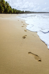 sandy sea beach