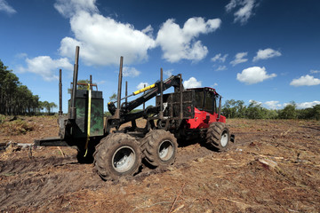 Fototapeta premium Engin de déboisement, tracteur