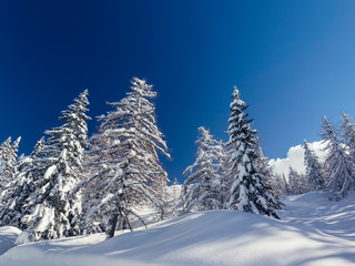 Winter landscape near Vogel ski center in mountains Julian Alps