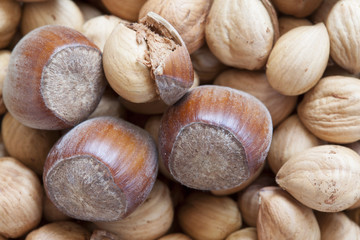 hazelnuts