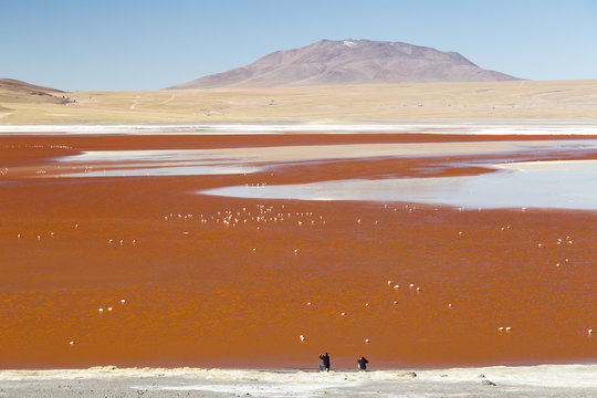 Red Lake in Atacama Desert, Bolivia.