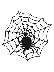 cobweb cobwebs reticle big spider