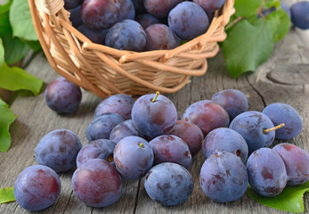 Ripe plums on the wooden table