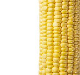 macro shot of ripe corn grains