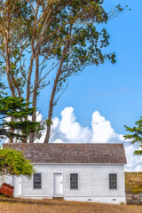 Old white farmhouse under tall Eucalyptus trees in northern California landscape