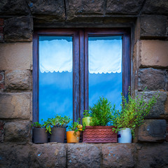 Window and flowers