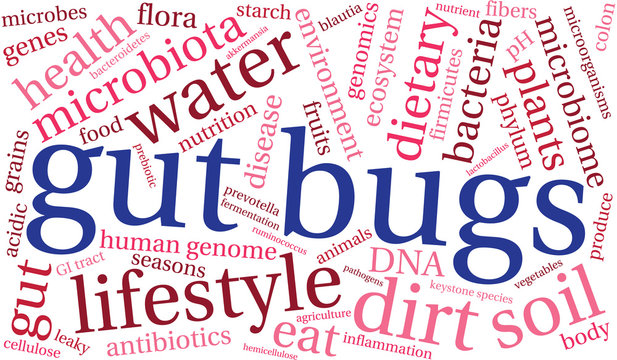 Gut Bugs Word Cloud On a White Background. 