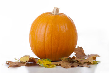 pumpkin on  white background with leaves