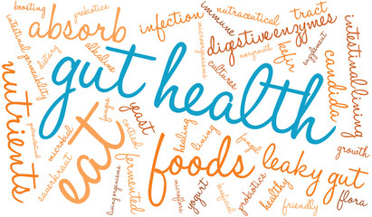 Gut Health Word Cloud On a White Background. 