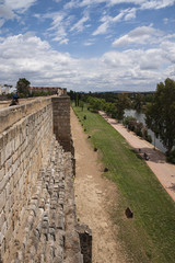 Fototapeta na wymiar La muralla del la antigua alcazaba de Mérida, España