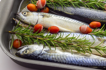 Mackerel baked with tomatoes