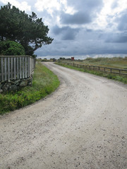 Gravel road at Skrea Strand on a summer day with ocean, horizon and dark clouds in Falkenberg, Sweden.