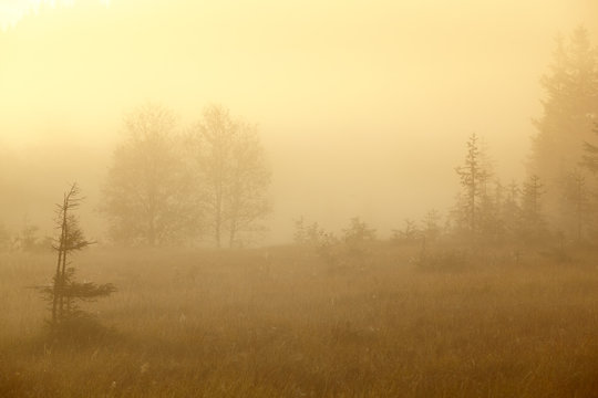 Fototapeta Hochmoor Felbertauern