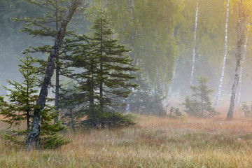 Hochmoor Felbertauern