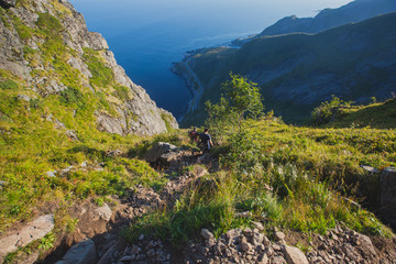 Beautiful norwegian landscape with famous top peak Reinbringen, Lofoten Islands, with a group of hikers tourists, and with a view on famous fishing village Reine, Moskenesoya and norwegian sea
