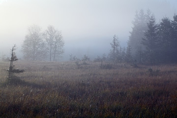 Hochmoor Felbertauern