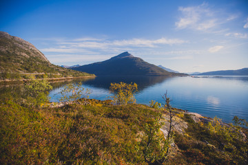 Beautiful vibrant summer norwegian landscape with coast of fjord with a blue sky, blue clear water, norway, norge