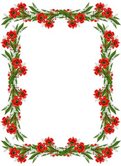 spring flowers tulips isolated on white background