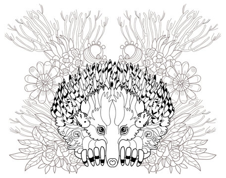 Hand drawn animal  Echidna.