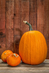 pumpkin and winter squash