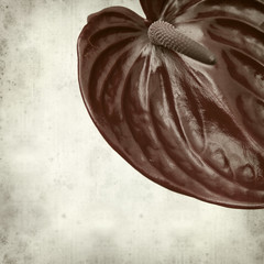 textured old paper background
