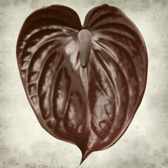 textured old paper background