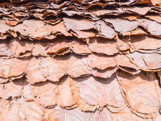 roof made of dried leaves