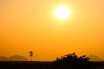 Fototapeta na wymiar Silhouette tree against mountain sun and sky