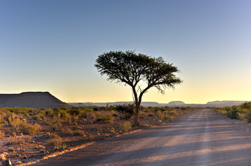 Obraz premium Fish River Canyon -Namibia, Africa
