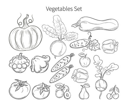 vegetables set