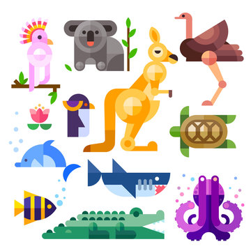Nice flat Australian animals: kakadu, kangaroo, parrot, koala, emu, ostrich, dolphin, penguin, turtle, shark, clown fish, crocodile, octopus. Flat vector illustration set.
